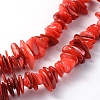 Natural Shell Beads Strands BSHE-D003-4-3