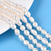 Natural Cultured Freshwater Pearl Beads Strands PEAR-N014-06I-1