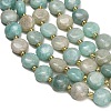 Natural Amazonite Beads Strands G-H005-B13-01-3