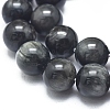 Natura Hawk's Eye Beads Strands G-D0001-22A-10mm-3