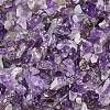 Natural Amethyst Chip Beads G-L453-06-1
