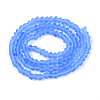 Frosted Transparent Glass Beads Strands GLAA-N016-4mm-05-2