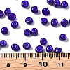 6/0 Glass Seed Beads SEED-S058-A-F304-4