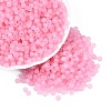 FGB Frosted Transparent Glass Seed Beads SEED-N013-02A-05-1