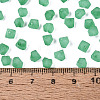 FGB Frosted Transparent Glass Seed Beads SEED-N013-03A-09-4