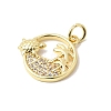 Brass Micro Pave Cubic Zirconia Pendants LS-KK-P343-01A-G-2