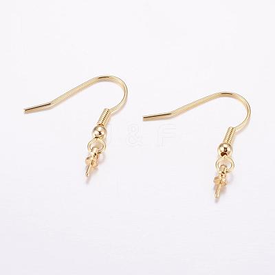 Brass Earring Hooks KK-F714-02G-1