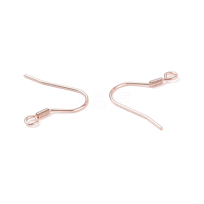 304 Stainless Steel Earring Hooks X-STAS-P221-04RG-1