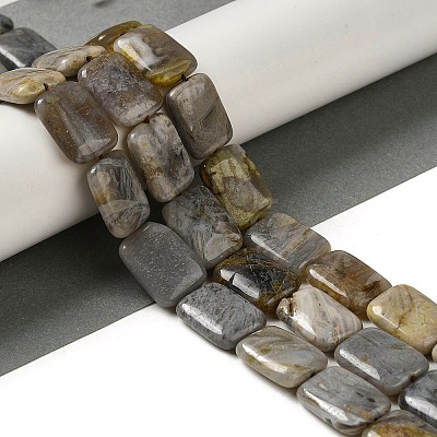 Natural Bamboo Leaf Agate Beads Strands G-NH0014-E01-01-1