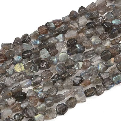 Natural Labradorite Beads Strands G-Q060-E20-01-1