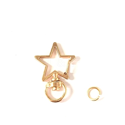 Star Alloy Swivel Clasps PURS-PW0001-430KCG-1