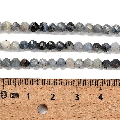 Natural Aquamarine Beads Strands G-H321-A02-02-1