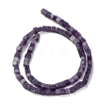 Natural Lepidolite/Purple Mica Stone Beads Strands G-F631-K14-1