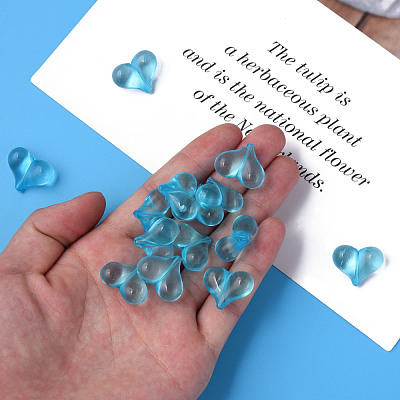 Transparent Acrylic Beads MACR-S373-70-B08-1