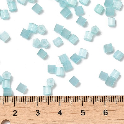 Glass Seed Beads SEED-H002-D-A812-1