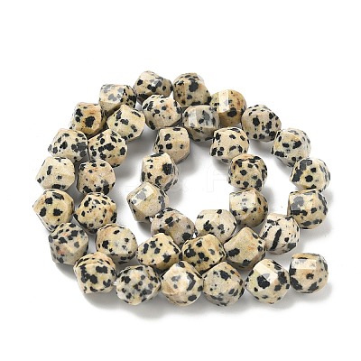 Natural Dalmatian Jasper Beads Strands G-C267-B21-1