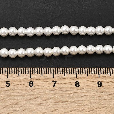 Electroplated Shell Pearl Beads Strands BSHE-K017-4mm-1