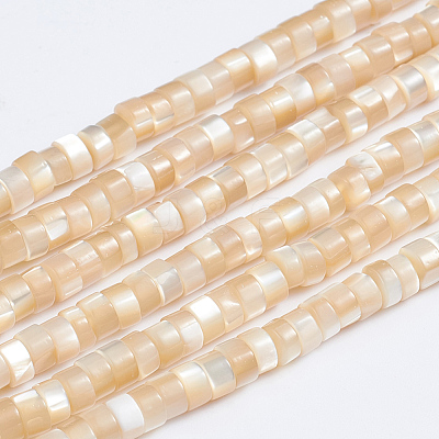 Natural Trochid Shell/Trochus Shell Beads Strands X-SSHEL-L016-13B-1