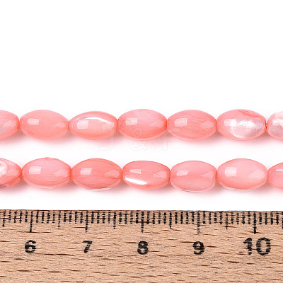 Natural Trochus Shell Beads Strands SHEL-K006-19-01E-1