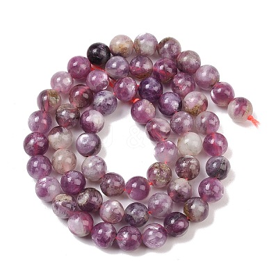 Natural Lepidolite/Purple Mica Stone Beads Strands G-G160-A01-04-1