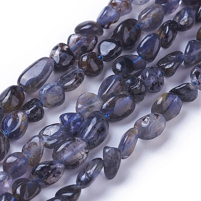Natural Iolite Beads Strands G-P433-13-1