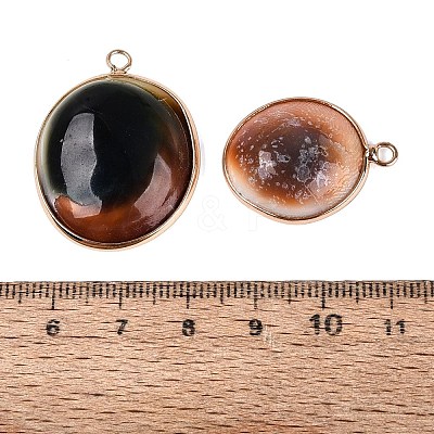 Natural Sea Shell Pendants SHEL-Q029-26KCG-1