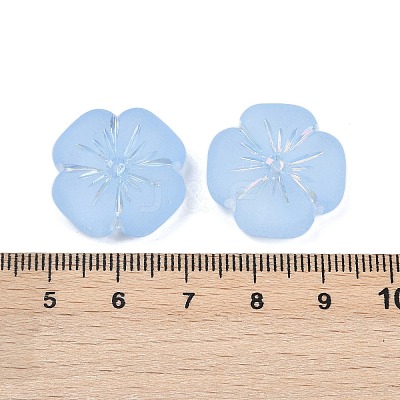 Frosted Transparent Acrylic Beads OACR-P029-19B-01-1