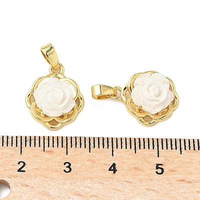 Brass Resin Pendants KK-B139-16G-02-1