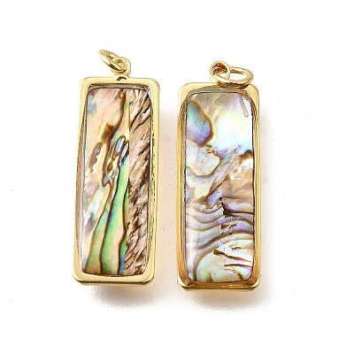 Natural Paua Shell & Epoxy Resin Pendants LS-KK-E794-02G-07-1