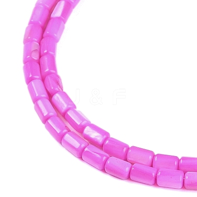 Natural Freshwater Shell Beads Strands BSHE-H109-17B-1