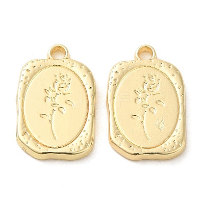 Alloy Pendants PALLOY-P303-22G-1