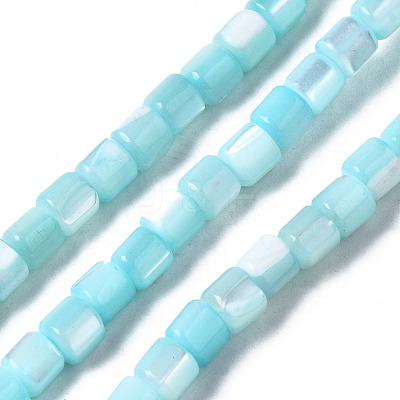 Natural Trochid Shell/Trochus Shell Bead Strands SSHEL-N034-77-C04-1
