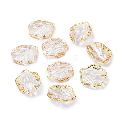 Transparent Acrylic Pendants X-TACR-D013-03-1