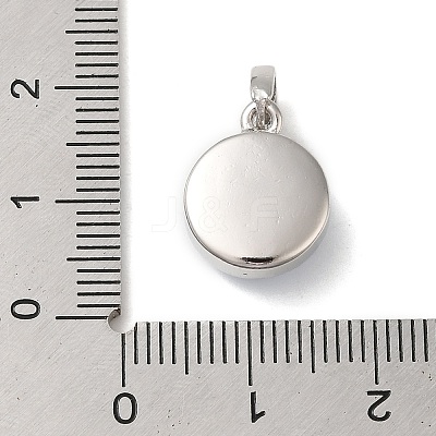 Rack Plating Brass with Synthetic Opal Pendants KK-S370-06P-1