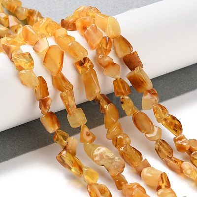 Natural Amber Beads Strands G-P497-01C-04-1