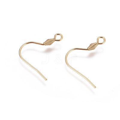 304 Stainless Steel Earring Hooks STAS-E464-07G-1