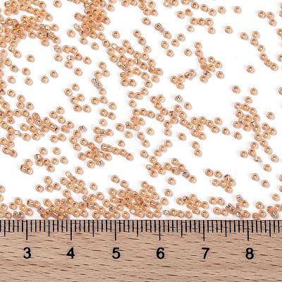 MIYUKI Round Rocailles Beads X-SEED-G009-RR0580-1