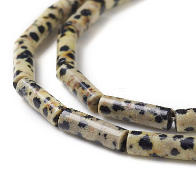 Natural Dalmatian Jasper Beads Strands G-F247-21-1