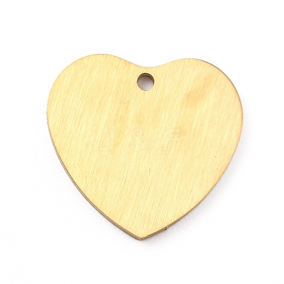 Ion Plating(IP) 304 Stainless Steel Pendants STAS-F271-06C-G-1