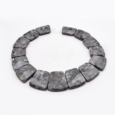 Natural Larvikite Graduated Bead Strands G-P296-F01-1