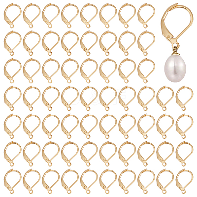 120Pcs 304 Stainless Steel Leverback Earring Findings STAS-ME0001-05-1