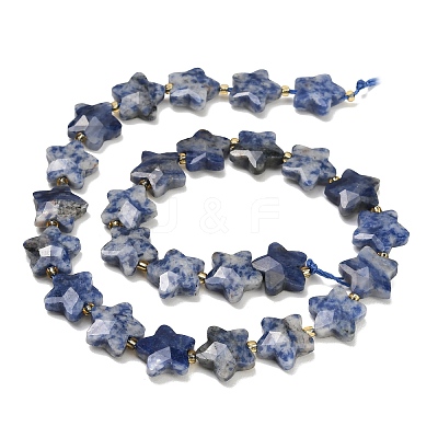 Natural Blue Spot Beads Strands G-P573-C45-01-1