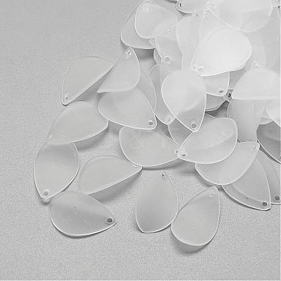 Transparent Acrylic Pendants FACR-S028-SB518-1
