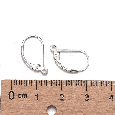 925 Sterling Silver Leverback Earring Findings STER-T002-227S-1