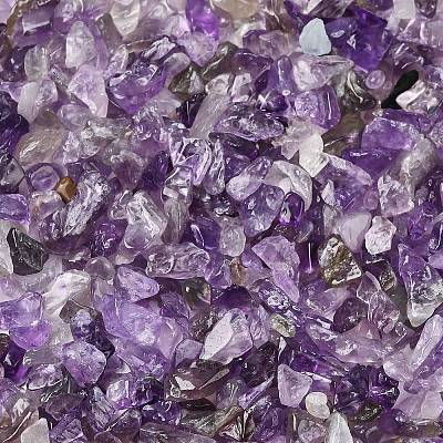 Natural Amethyst Chip Beads G-L453-06-1