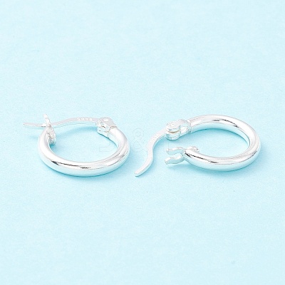 925 Sterling Silver Hoop Earrings STER-P047-13A-S-1
