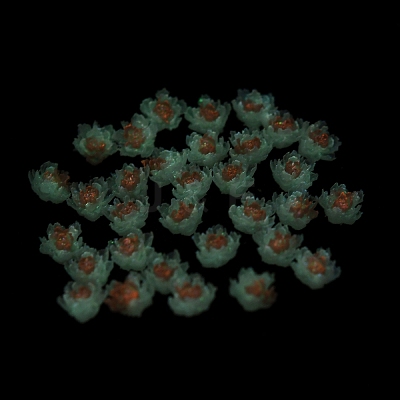 Luminous Resin Decoden Cabochons RESI-K036-06F-01-1