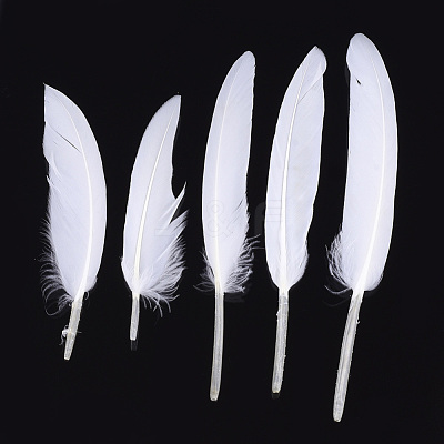 Goose Feather Costume Accessories FIND-T037-01O-1
