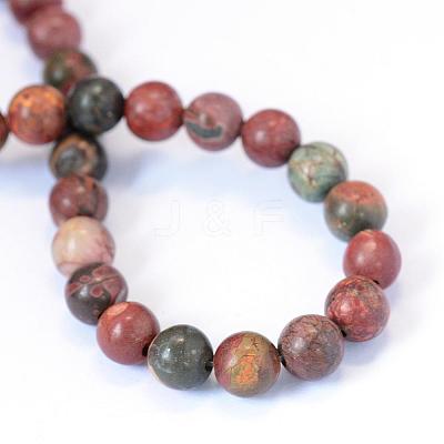 Natural Picasso Stone/Picasso Jasper Beads Strands G-E334-8mm-10-1