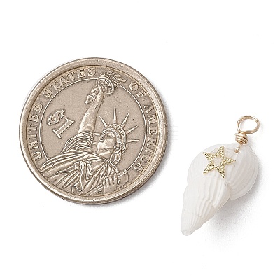 6Pcs 6 Styles Natural Shell Pendants PALLOY-JF03882-1